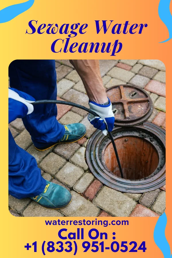 Sewage Water Cleanup in Duncanville, TX